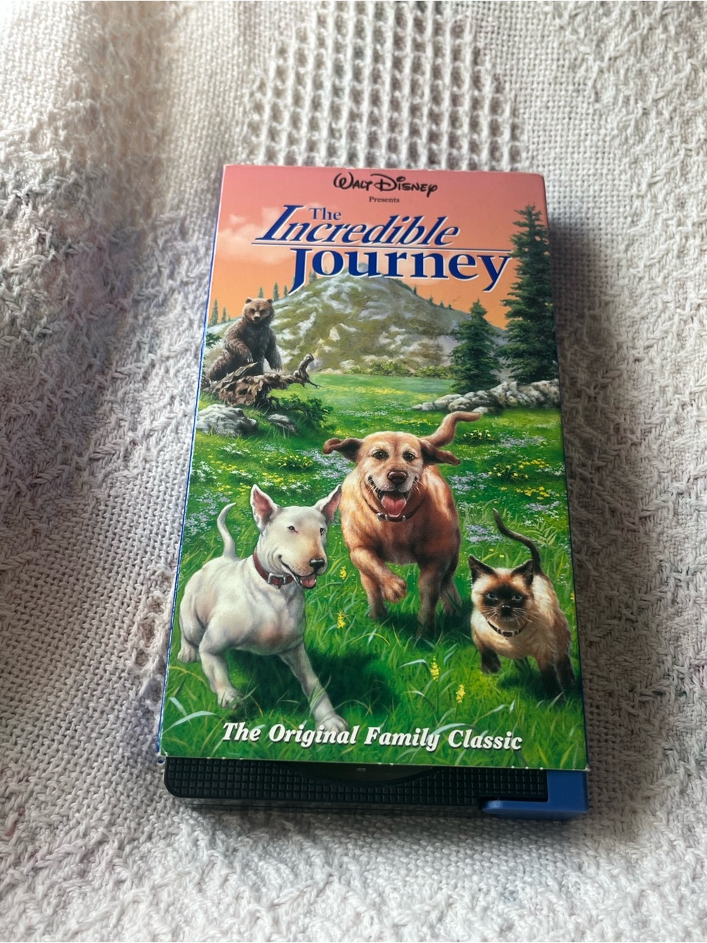 Disney The Incredible Journey VHS Cover — Green & Orange Artwork